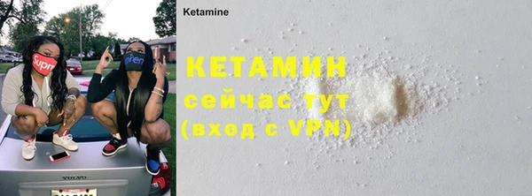 сатива Дмитриев
