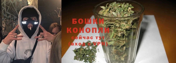 сатива Дмитриев
