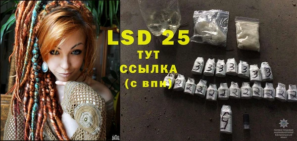 эйфоретик Ветлуга