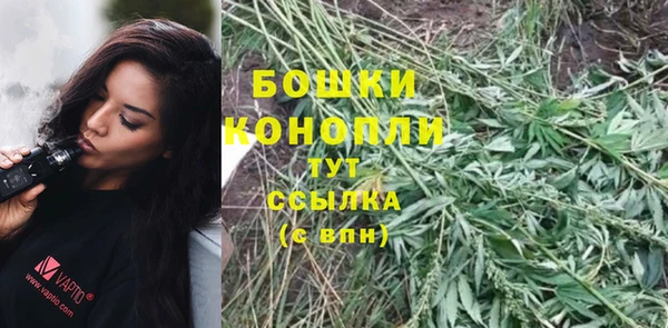 сатива Дмитриев