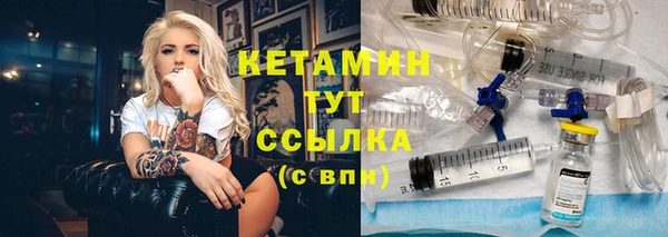 сатива Дмитриев