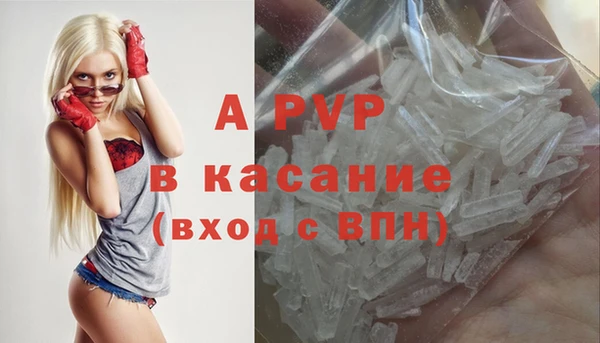 сатива Дмитриев