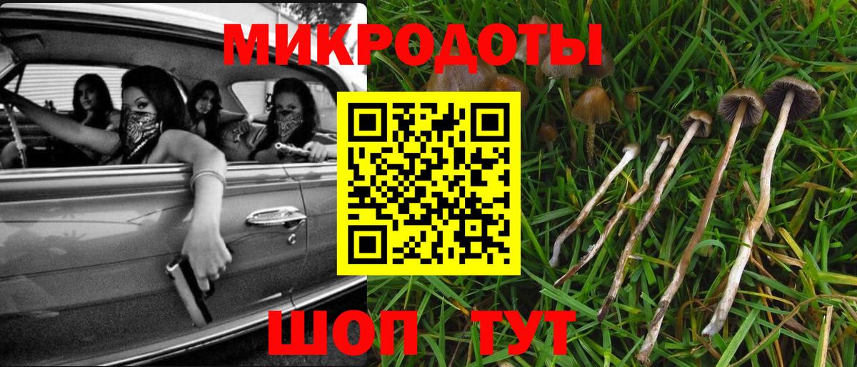 Галлюциногенные грибы GOLDEN TEACHER  Вход с VPN  Псилоцибиновые грибы Psilocybine cubensis  Ефремов 